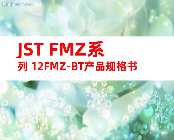 JST FMZ系列 12FMZ-BT产品规格书